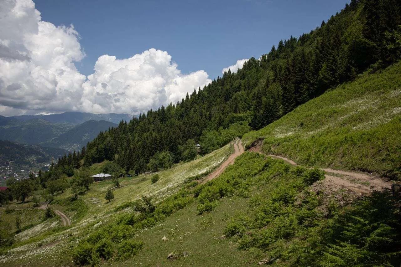 The Green Hill - photo 6