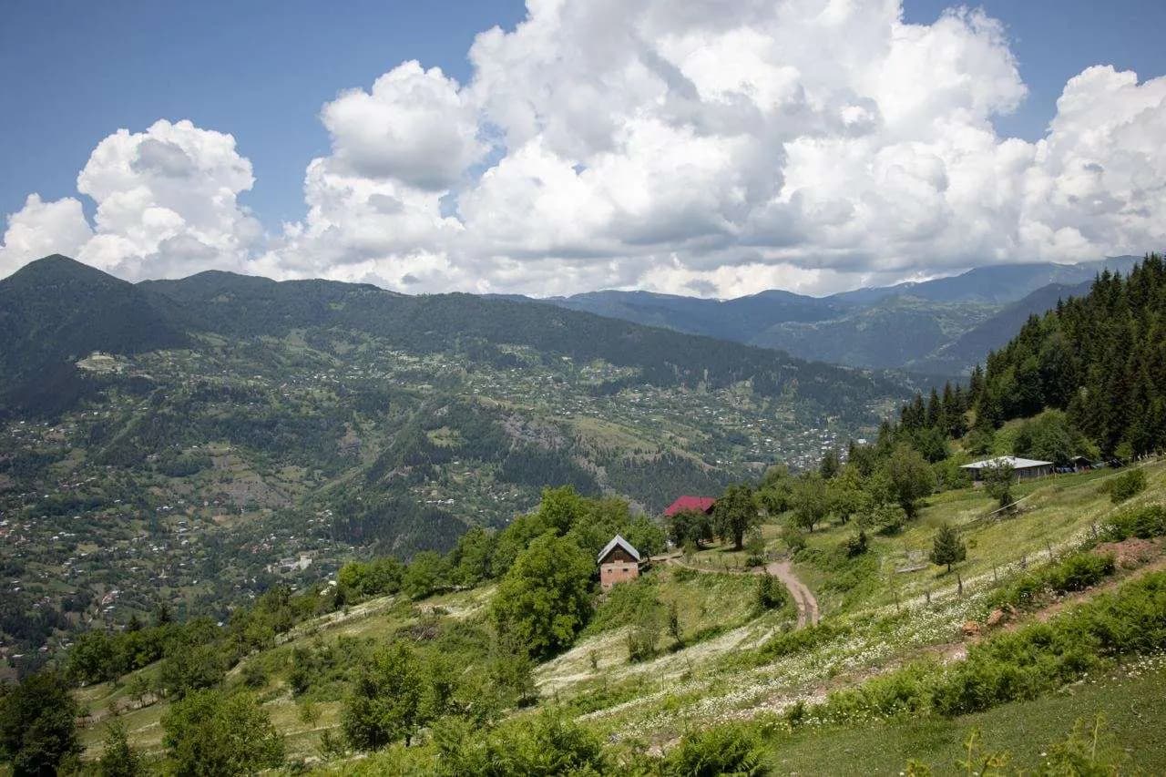 The Green Hill - photo 7