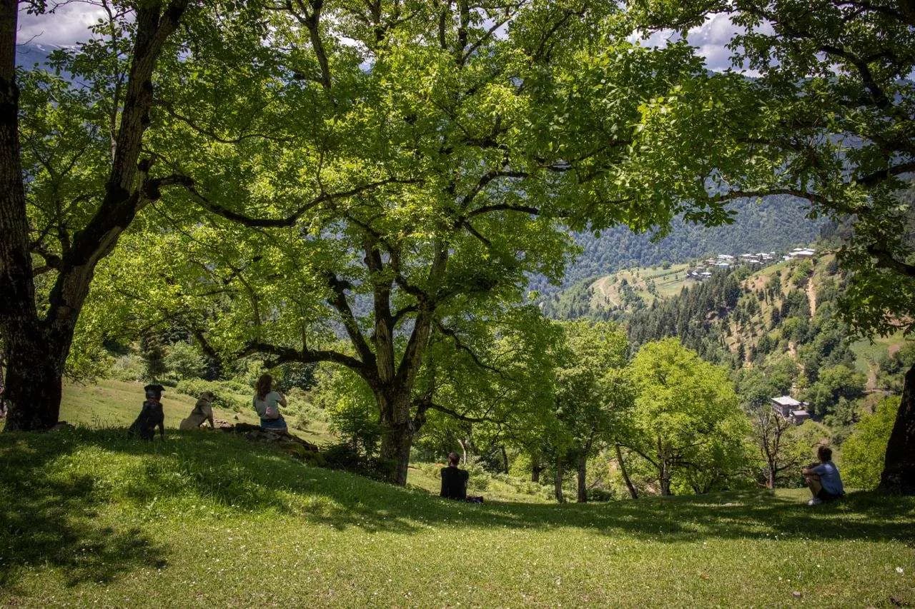 The Green Hill - photo 8