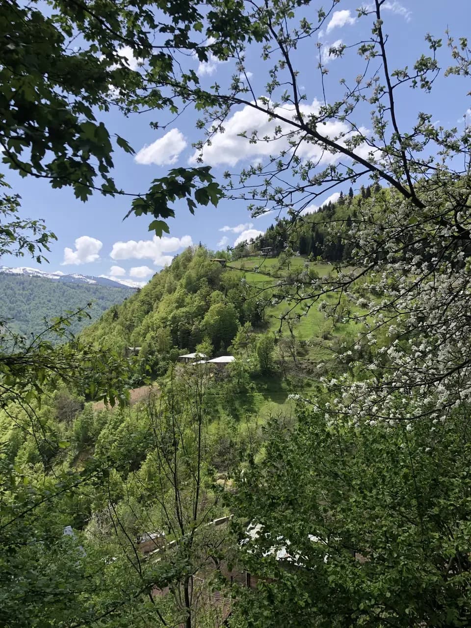 Otsinari lake - photo 2