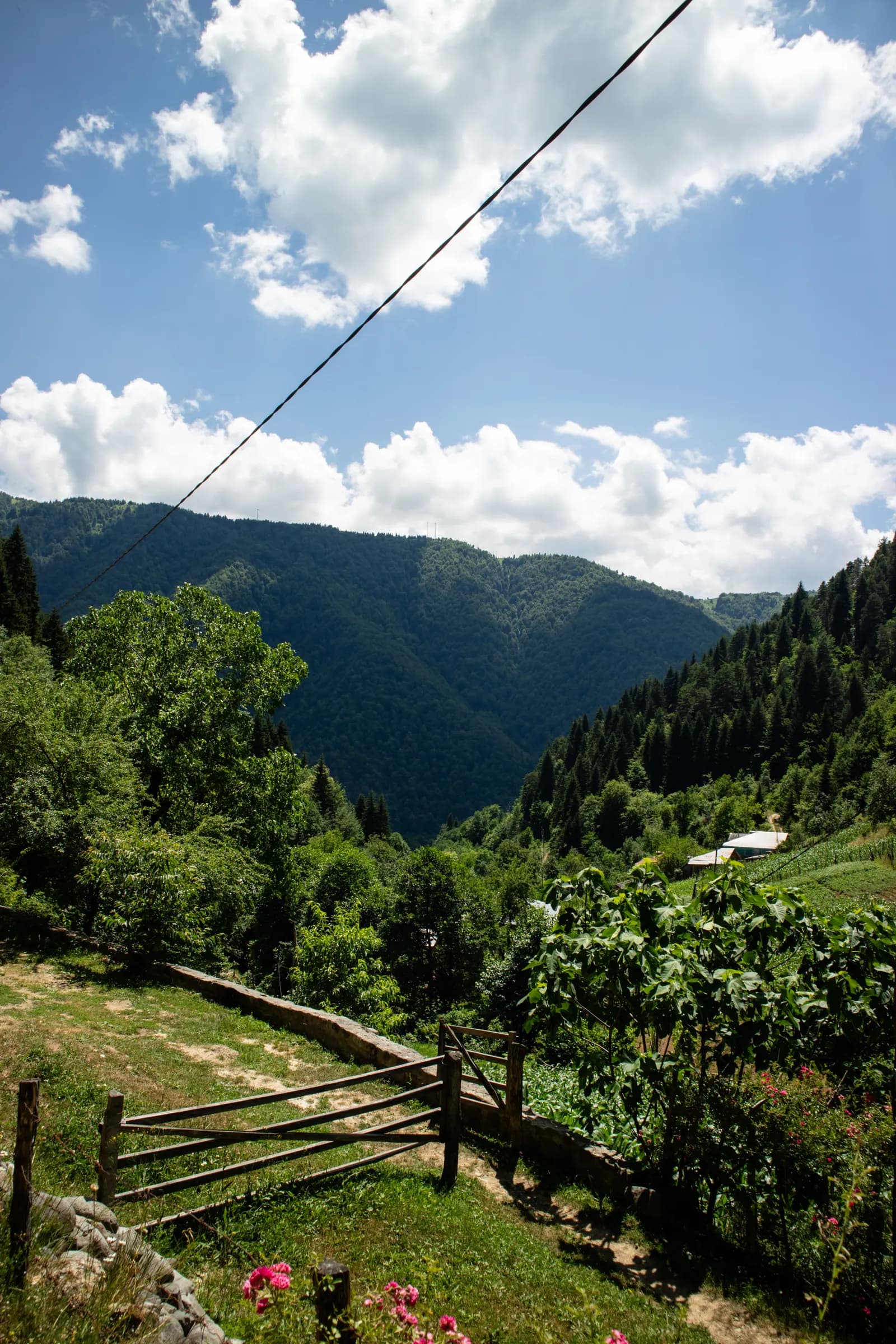 Skhalta monastery - photo 3