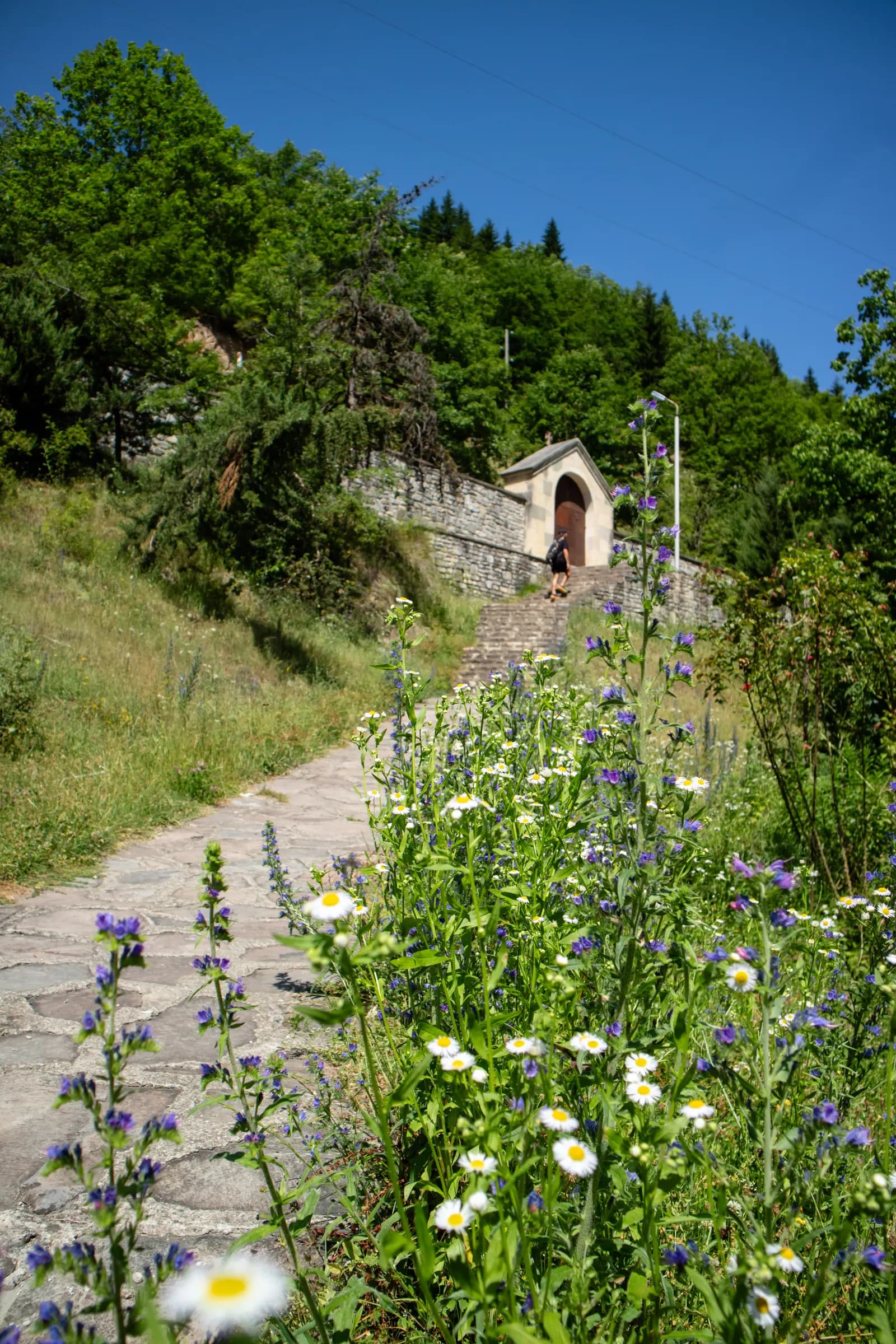 Skhalta monastery - photo 5